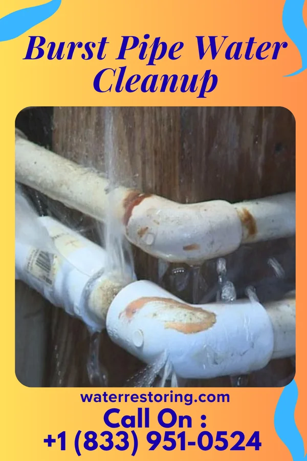 Burst Pipe Water Cleanup in Parkside, PA