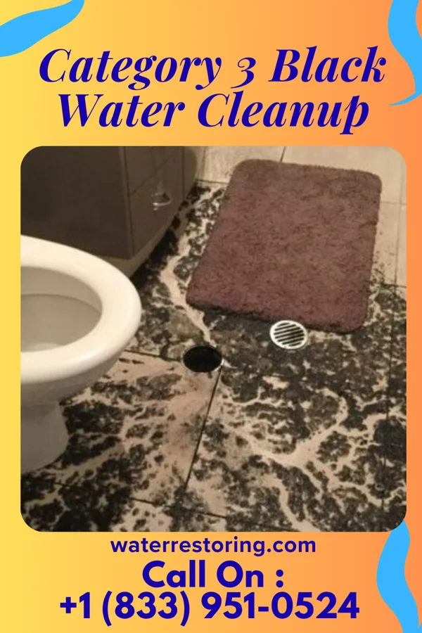 Category 3 Black Water Cleanup in Parkside, PA