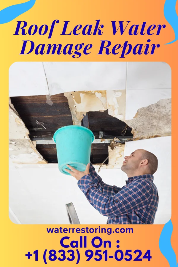 Roof Leak Water Damage Repair in Parkside, PA