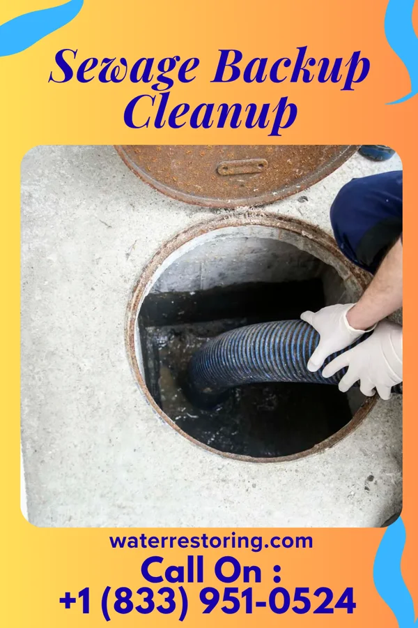 Sewage Backup Cleanup in Parkside, PA