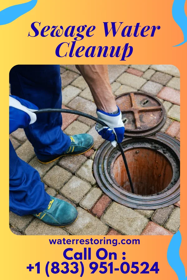 Sewage Water Cleanup in Parkside, PA